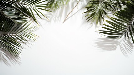 white wall with tropical leaves. Generative Ai. 