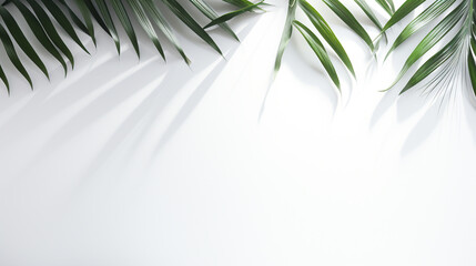 palm branches on white wall background. Generative Ai. 