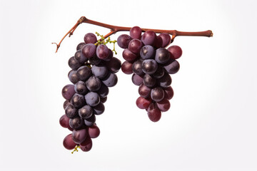 grape vine isolated on white background.red grapes on a branch with leaves.Generative AI