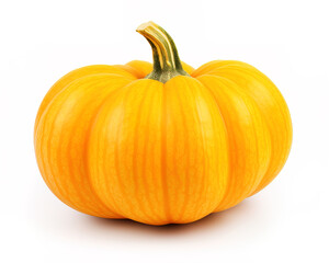 Obraz premium pumpkin isolated on white background