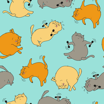  Pattern Cats Set. Fat happy cats doing gymnastics. Cartoon Cat with dumbbells, in yoga pose.  Doodle. Vector illustration. Background isolated.