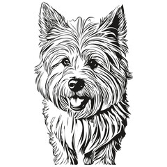Coton de Tulear dog silhouette pet character, clip art vector pets drawing black and white realistic breed pet