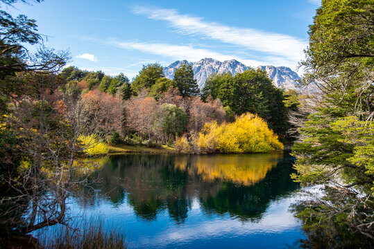 Reflection of the trees on the banks of the Manso river on an autumn afternoon. Bariloche, Rio Negro, Argentina.
