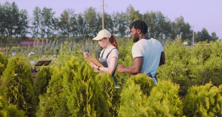 botanists in special uniform, cap, apron take care for plants, girl controlling growth of plants, trees, thuja slow motion, diverse multiethnic couple discussing business matters in plantation house - Powered by Adobe