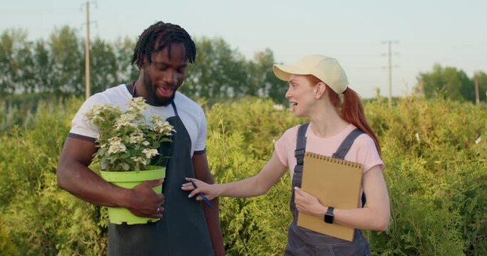 two diverse mixed-race biologists, botanists have fun in the greenhouse, African American man with floer pot in hands and redhead woman in cap and uniform laughing, spend great time in gardern