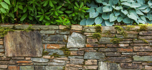 stone wall, weathered by time, evoking strength, resilience, and the enduring beauty of nature's...