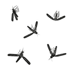 Dead mosquitoes on a white background. A set of defeated mosquitoes in outline.