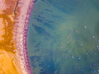 Paracas Nature Reserve (Reserva Nacional de Paracas), Peru