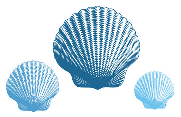 Seashell. Marine life. Editable hand drawn illustration. Vector vintage engraving. Isolated on a white background. 8 EPS - 621382796