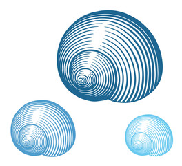 Seashell. Marine life. Editable hand drawn illustration. Vector vintage engraving. Isolated on a white background. 8 EPS - 621382902