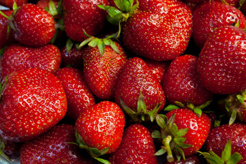 strawberries close up full screen summer berries harvest