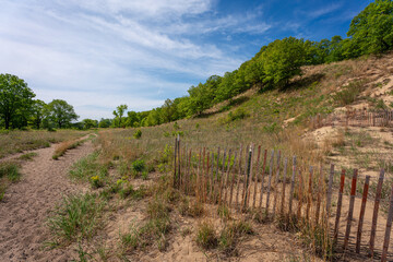 Fototapeta na wymiar Indiana Dunes National Park with wooden fence, hills and trees in summer 