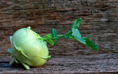 homage to the vegetable cabbage 