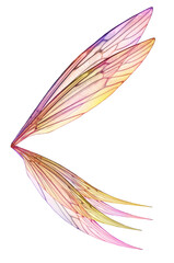 PNG Transparent Fairy Wing Overlays - ATP Textures