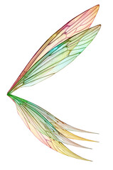 PNG Fairy Wing Overlays - ATP Textures