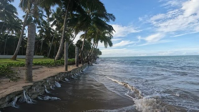 praia xareu maragogi
