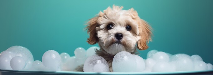Fun and Clean: Adorable Dog Enjoys a Soapy Bath! Generative AI