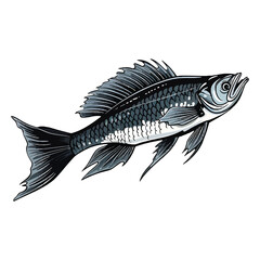Obraz premium Graceful Aquatic Creature: Stunning 2D Illustration of a Fish Featherfin Catfish