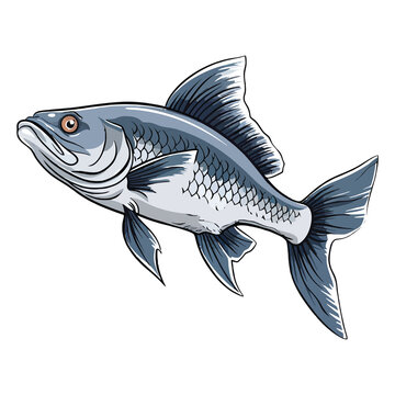 Graceful Aquatic Creature: Stunning 2D Illustration of a Fish Featherfin Catfish
