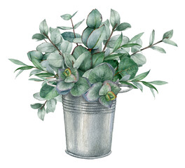 Watercolor eucalyptus leaves branch illustration isolated on white background. Hand-drawn green leaf branches for wedding stationery, greetings, wallpapers, prints, postcards. Botanical art © Fefelova Yana