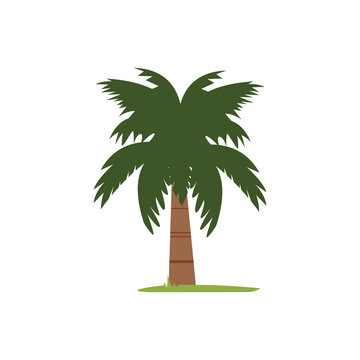 Single palm tree illustration in flat design style
