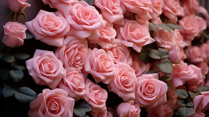 Abwaschbare Fototapete Dämmerung pink roses bouquet  HD 8K wallpaper Stock Photographic Image