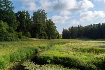 Slavyanka River Valley in the landscape part of the Pavlovsk Palace and Park Complex on a sunny summer day, Pavlovsk, Saint Petersburg, Russia