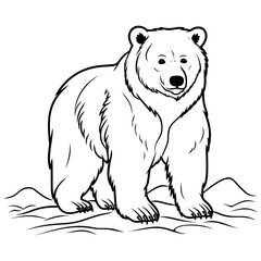 Bear coloring page