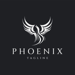 Bird logo design vector illustration
