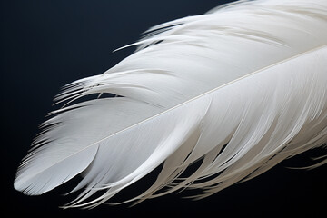 Closeup shot of a white feather - Generative AI