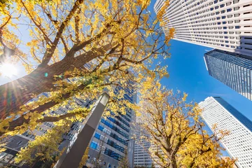 Raamstickers 東京のビル群と紅葉した木 © taka