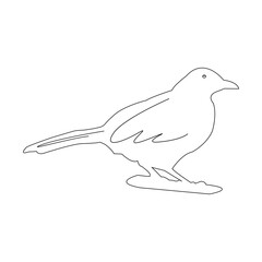 bird icon vector