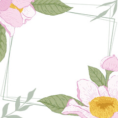 Botanical hand drawn gustavia flower illlustration frame