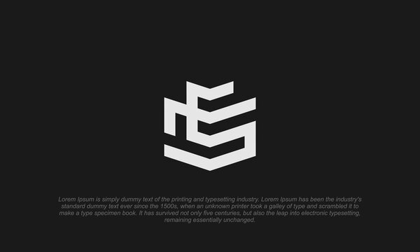 E M S logo monogram style in dark background