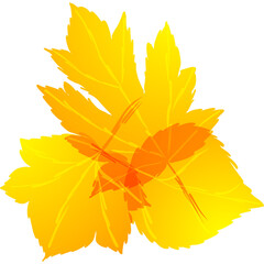 Autumn Yellow Leaves Element