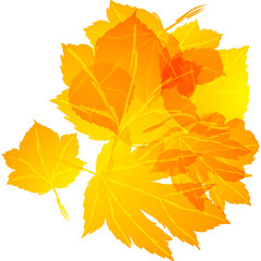 Naklejka na ściany i meble Autumn Yellow Leaves Element