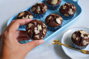 Hand holding chocolate muffin 