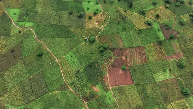 aerial view of the agricultural land and farms