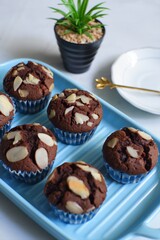 chocolate muffin in a plate 