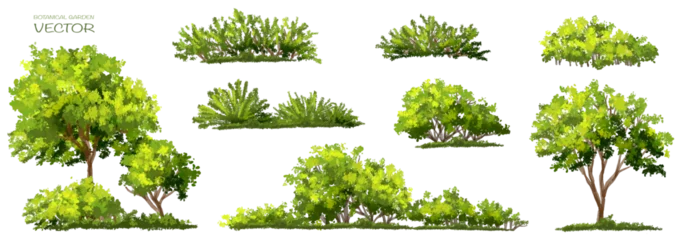 Foto op Plexiglas Vector watercolor green tree or forest side view isolated on white background for landscape and architecture drawing,elements for environment or garden,botanical element for exterior section in spring © Wattanapong