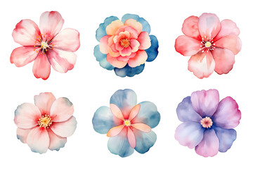 Watercolor flowers set. Hand-painted flower illustrations bundle. Isolated on transparent background