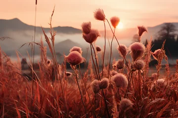 Foto auf Alu-Dibond Minimalist landscape photography, meadow, sunrise. AI generative © SANGHYUN