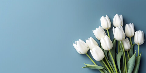 Bouquet of white tulips flower on blue background. Top view background with copy space