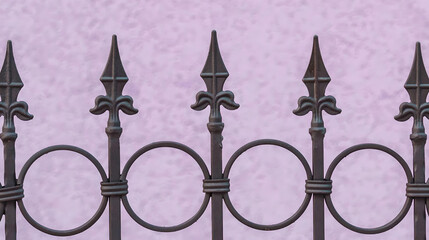 Wrought Iron Fence. Metal fence 