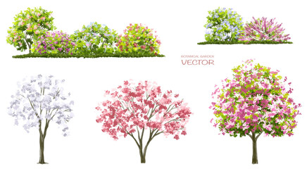 Vector of green grass or shrub isolated on white background,flower tree elevation for landscape concept,environment  scene,eco design,meadow for spring © Wattanapong