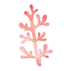 Obraz premium Red coral watercolor illustration or decoration on coastal living and marine life concept.