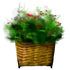 Bush Flower in Basket Weave Pot