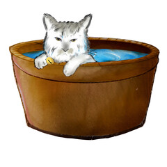 White Cat in Brown Round Wooden Tub Filled with Water 
