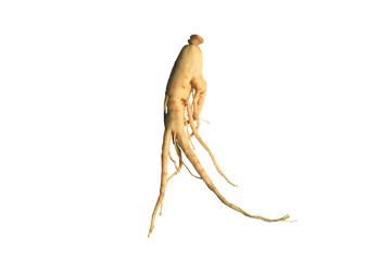ginseng isolated on transparent background