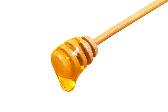 Honey dripping from honey dipper isolated on transparent background. Thick honey dipping from the wooden honey spoon. Healthy food and diet concept